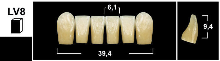 FRONTALI INFERIORI / Denti Tribos 501