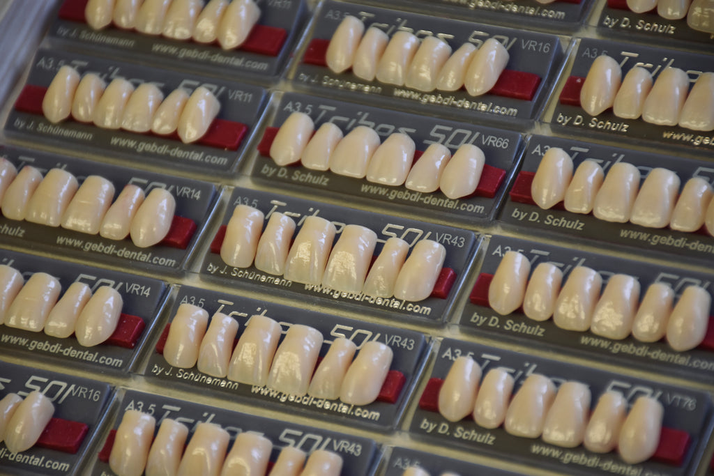 FRONTALI SUPERIORI / Denti Tribos 501