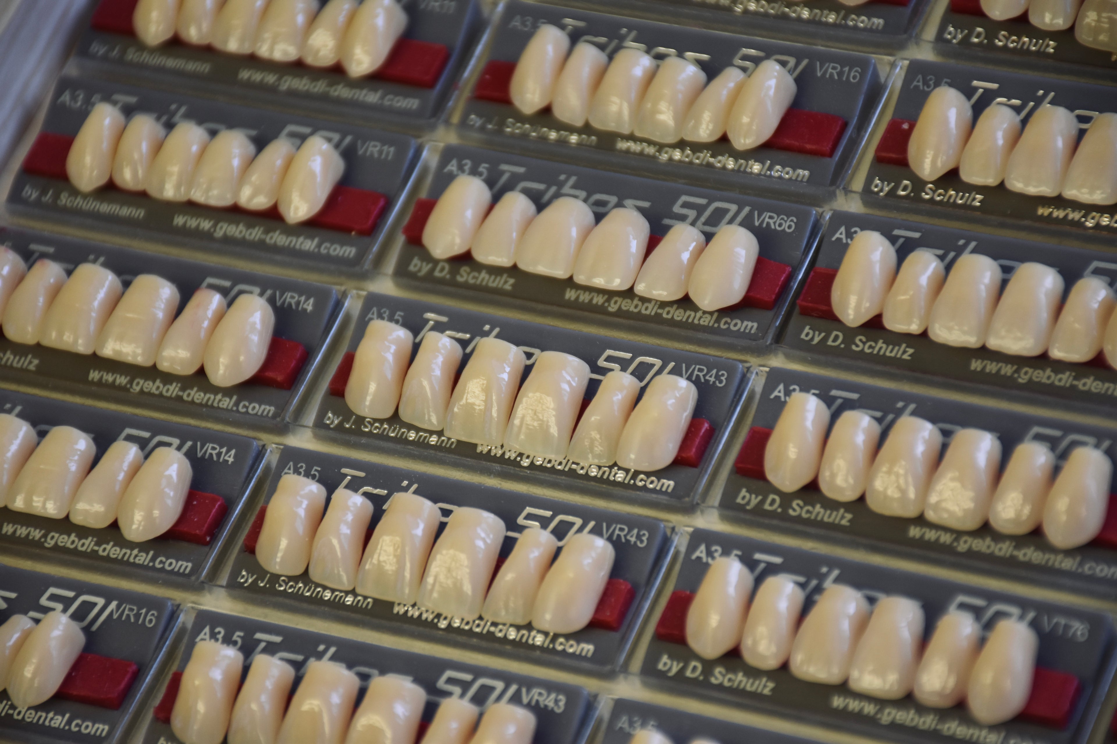 FRONTALI SUPERIORI / Denti Tribos 501