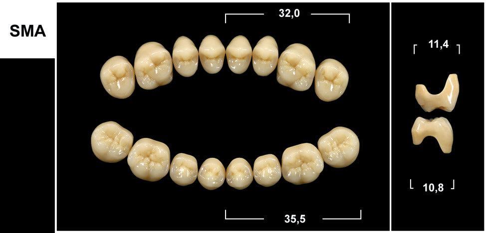 DIATORICI INFERIORI / Denti Tribos 501