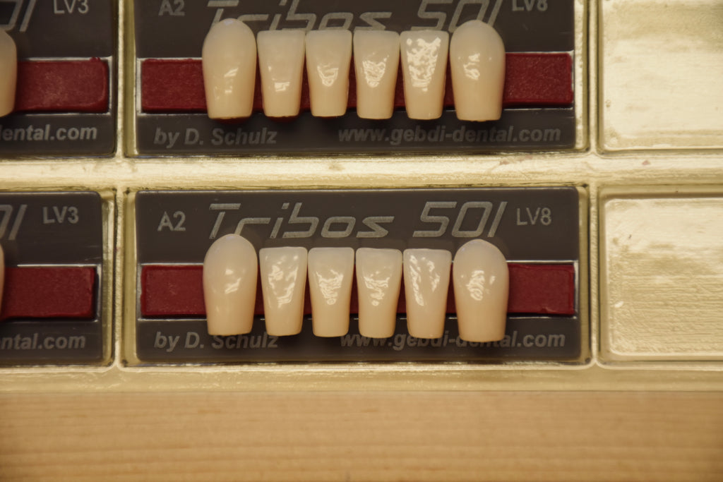 FRONTALI INFERIORI / Denti Tribos 501