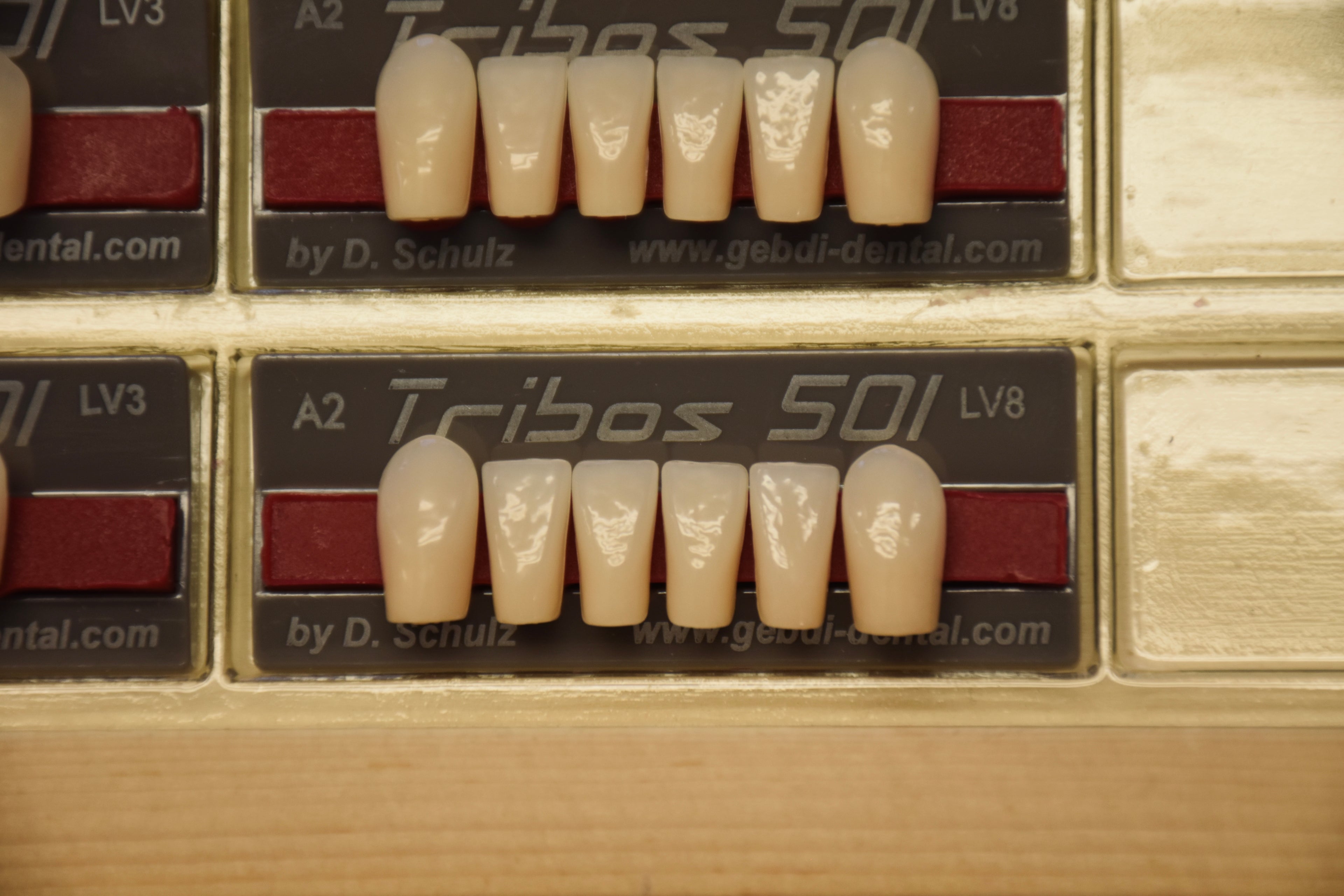 FRONTALI INFERIORI / Denti Tribos 501