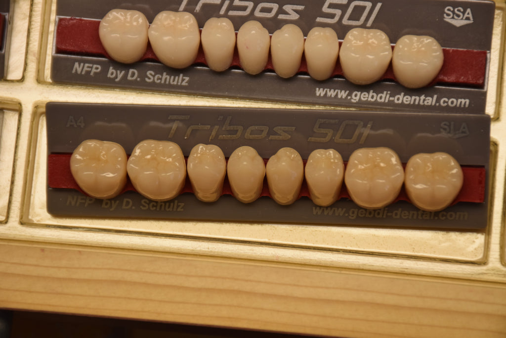 DIATORICI INFERIORI / Denti Tribos 501