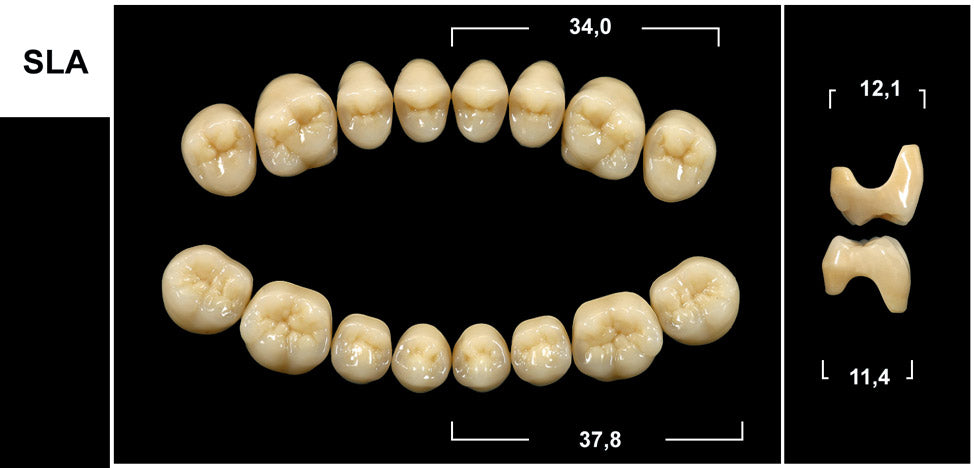 DIATORICI INFERIORI / Denti Tribos 501