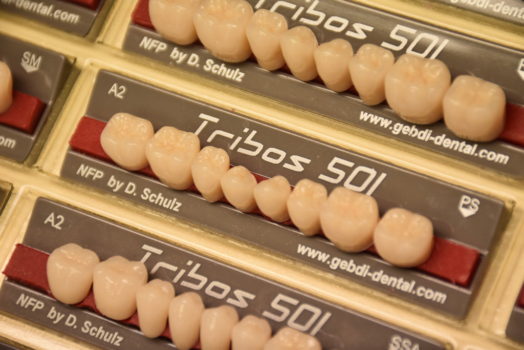 DIATORICI INFERIORI / Denti Tribos 501