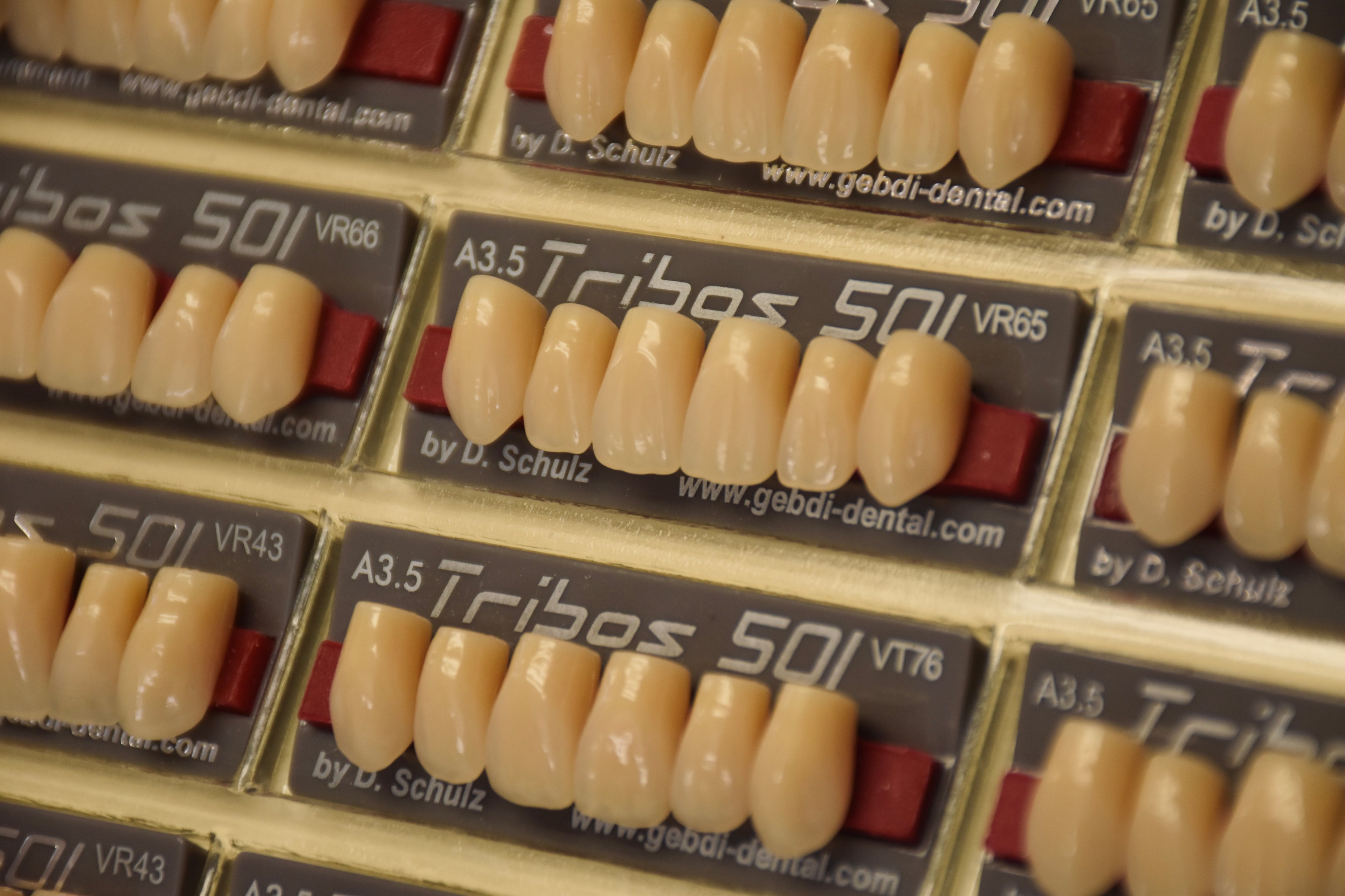 FRONTALI SUPERIORI / Denti Tribos 501