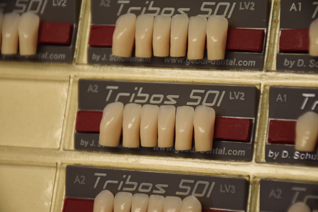 FRONTALI INFERIORI / Denti Tribos 501