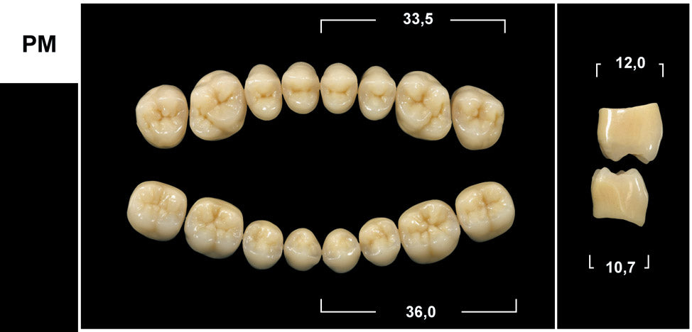 DIATORICI SUPERIORI /Denti Tribos 501