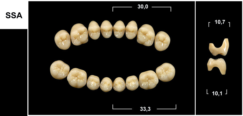 DIATORICI INFERIORI / Denti Tribos 501