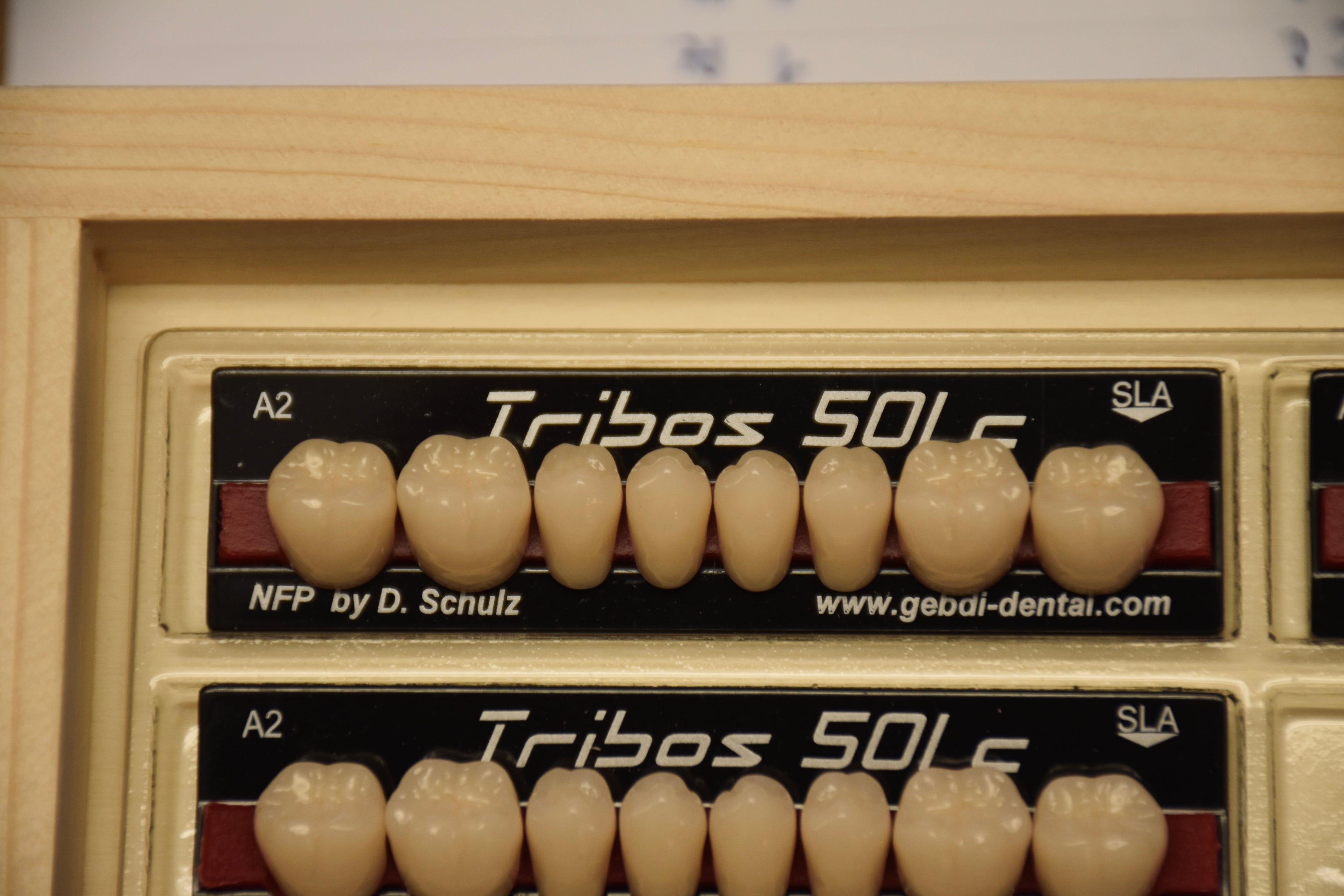 DIATORICI SUPERIORI COMPOSITO / Tribos 501 C