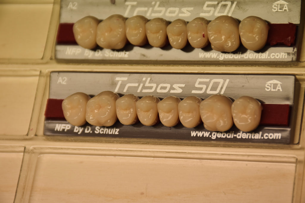 DIATORICI SUPERIORI /Denti Tribos 501