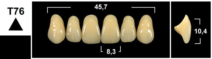 FRONTALI SUPERIORI / Denti Tribos 501