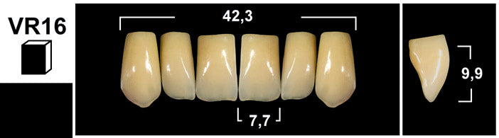 FRONTALI SUPERIORI / Denti Tribos 501