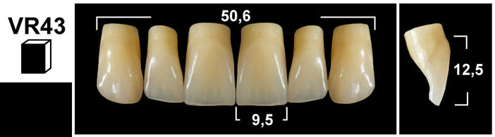 FRONTALI SUPERIORI / Denti Tribos 501