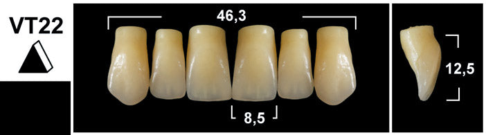 FRONTALI SUPERIORI / Denti Tribos 501