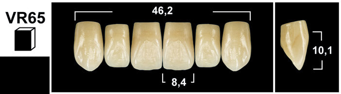FRONTALI SUPERIORI / Denti Tribos 501
