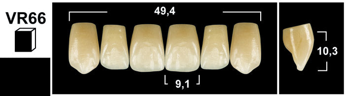 FRONTALI SUPERIORI / Denti Tribos 501