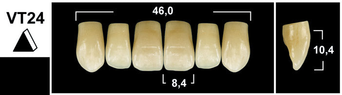 FRONTALI SUPERIORI / Denti Tribos 501