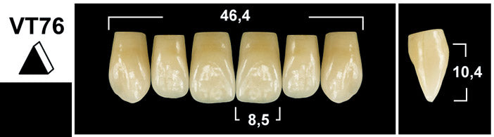 FRONTALI SUPERIORI / Denti Tribos 501